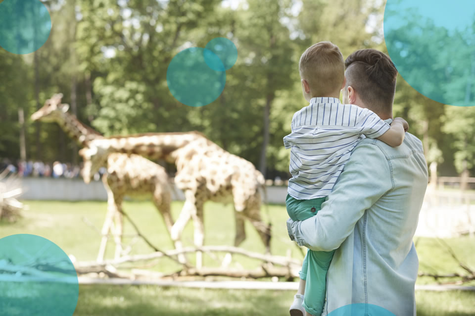 eSmart<sup>®</sup> Experience